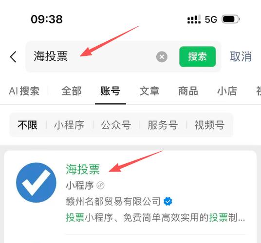 麦克自动投票软件