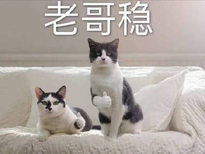老哥稳怎么回复