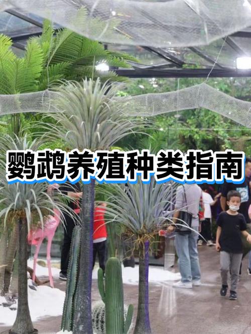养殖鹦鹉前景如何