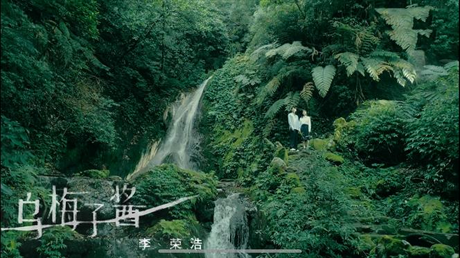 很火的mv