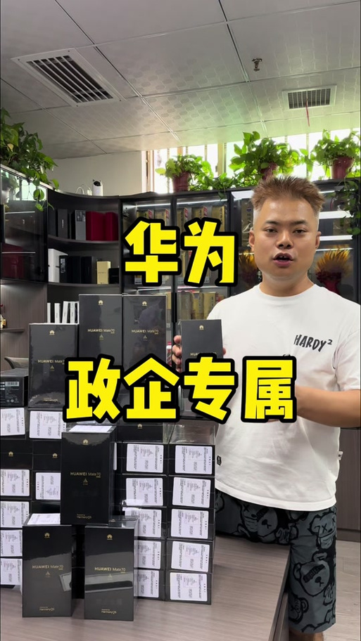 手机政企版是什么意思游戏截图