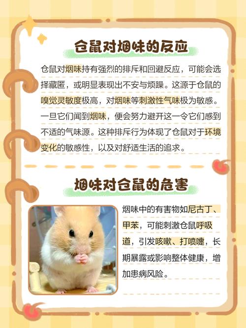 仓鼠有味吗