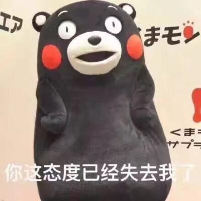 你已经失去我了表情包
