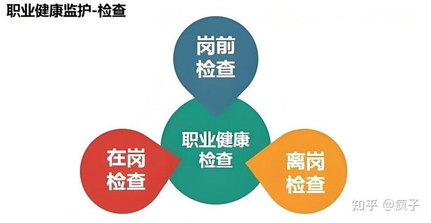 职业病体检主要检查什么项目