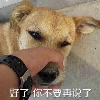 好了你别说了表情包