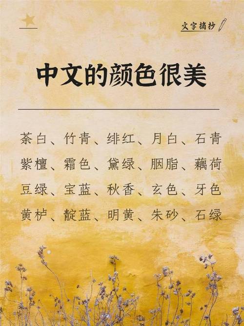 呼吸官网中文官网