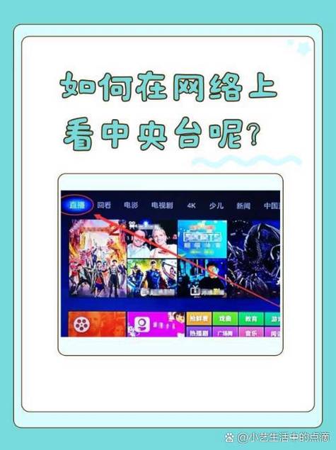 怎么进入中央电视台