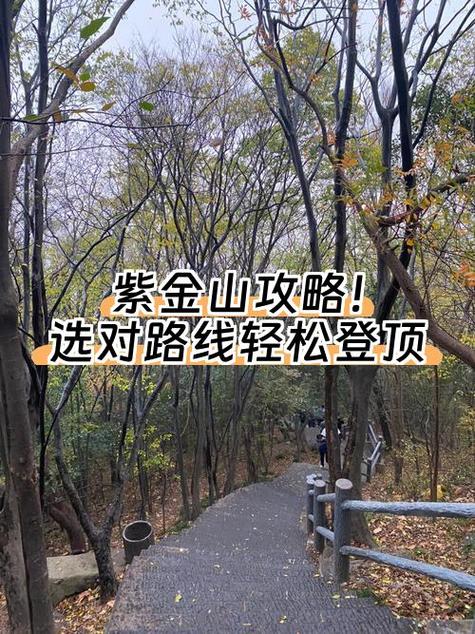 紫金最新消息今天游戏截图
