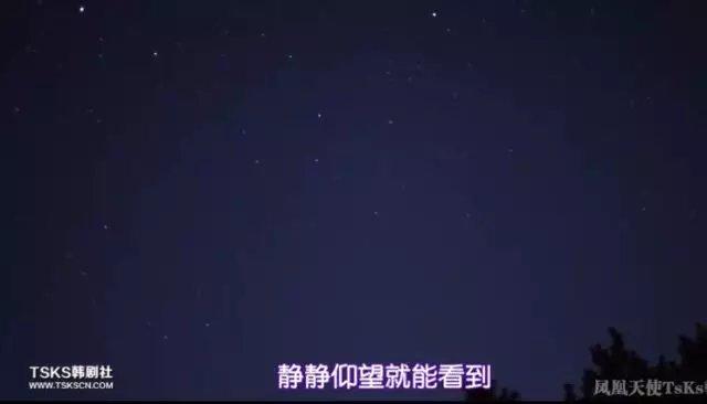 蓝大胆为何不建议养