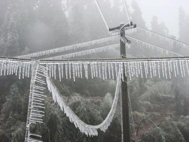 冻雨的图片