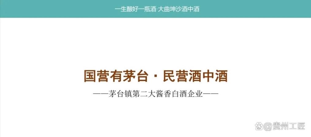 贵州酒中酒集团