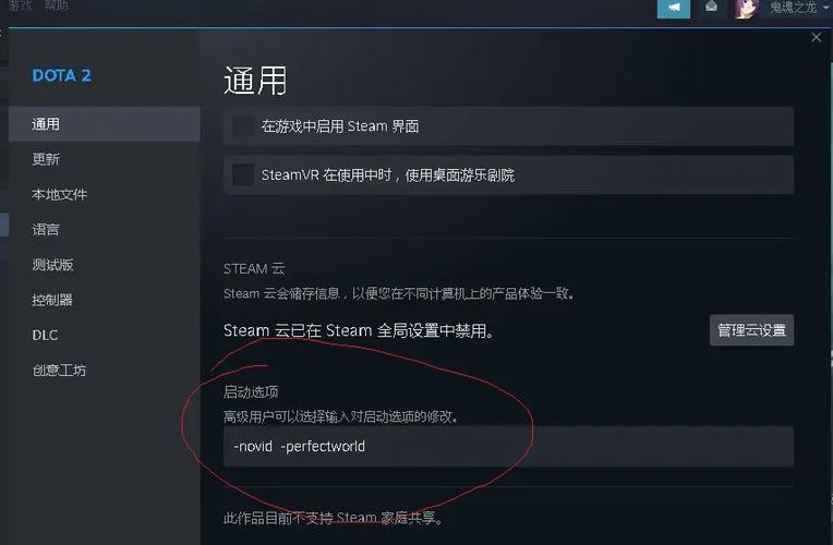 steamdota2国服设置