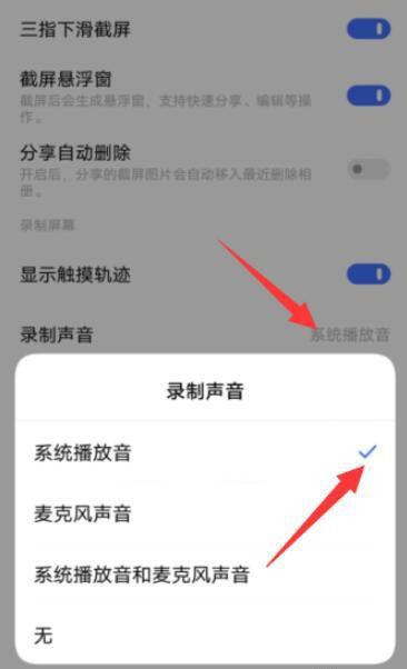 vivo手机的录制声音设置图标