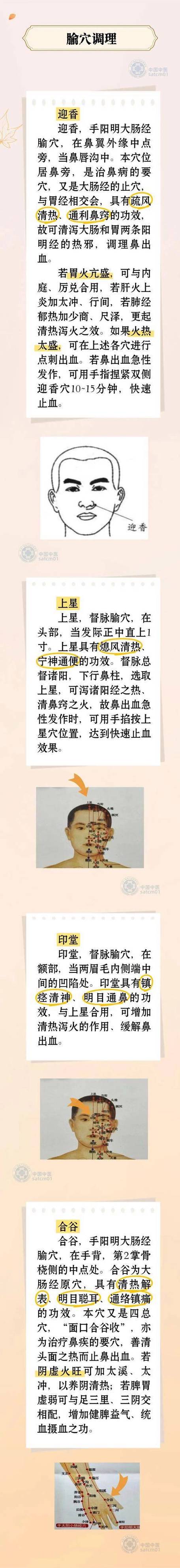 流鼻血按什么位置