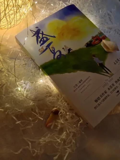 盛夏心动小说