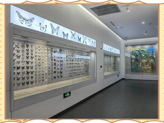 哪里的昆虫馆最好