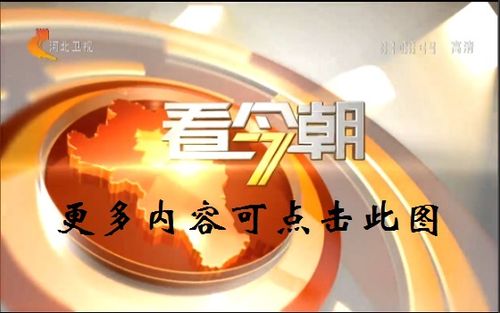 河北卫视节目表回放缩略图