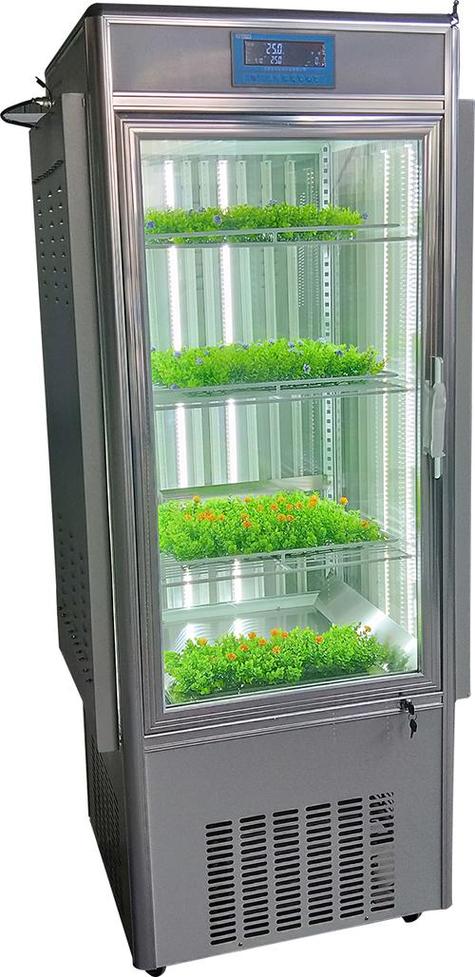 植物生长箱