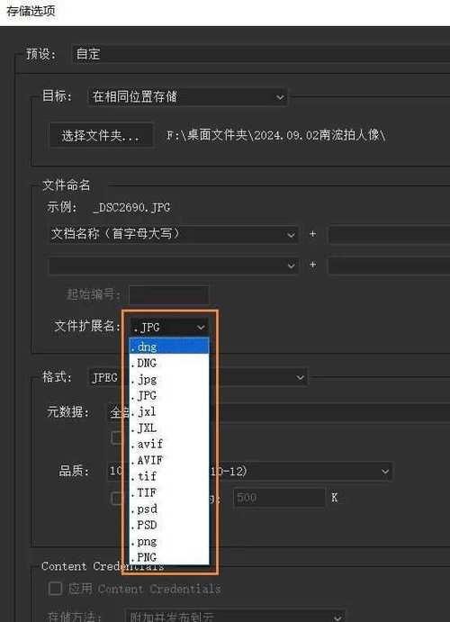 相机raw格式怎么导出