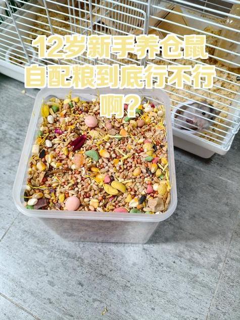 仓鼠大米一次吃多少游戏截图