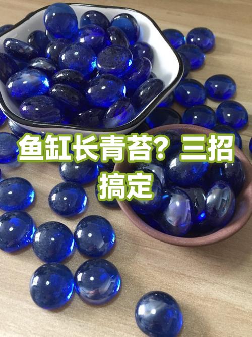 鱼缸长青苔怎么解决