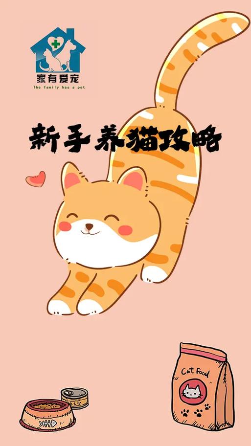 十大最适合新手养的猫