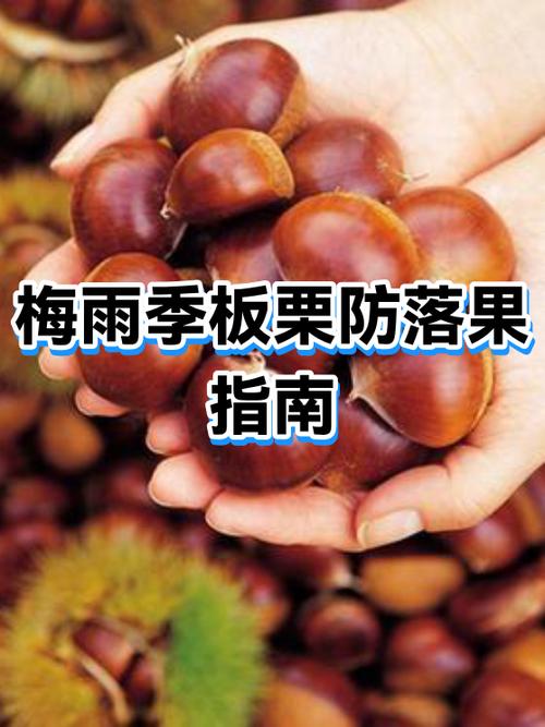 防落果的最佳方法