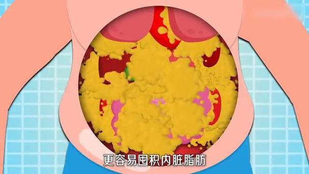 内脏脂肪怎么减下来