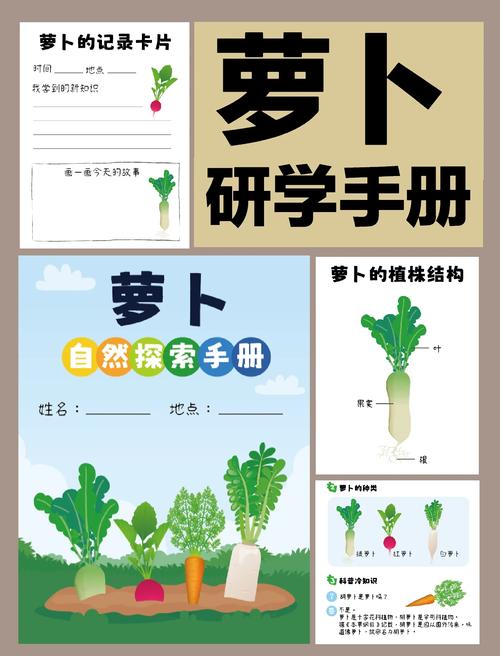 保卫萝卜2通关教程图文解析
