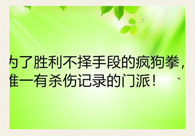 无限制格斗疯狗拳