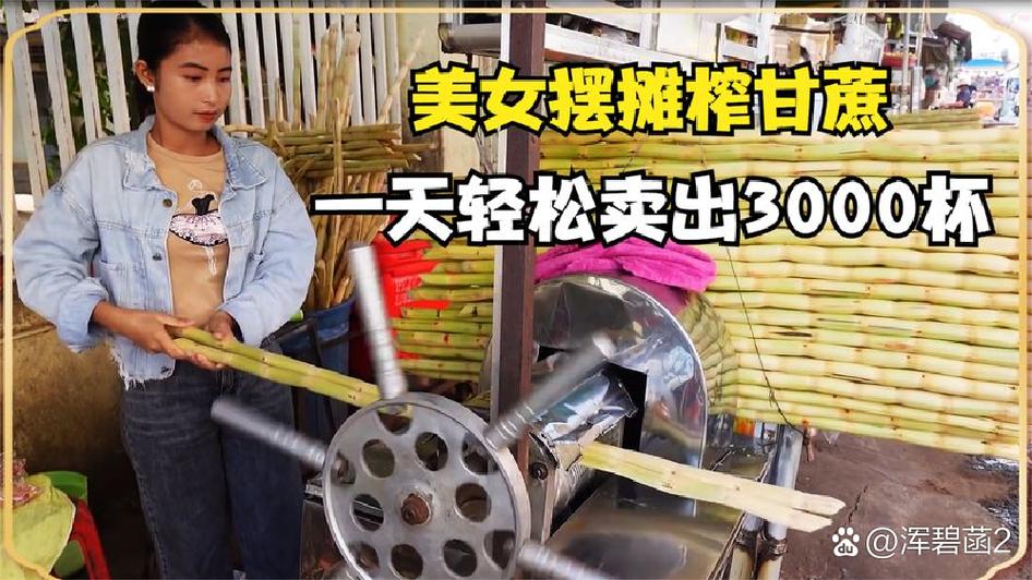 摆摊卖甘蔗汁赚钱吗缩略图
