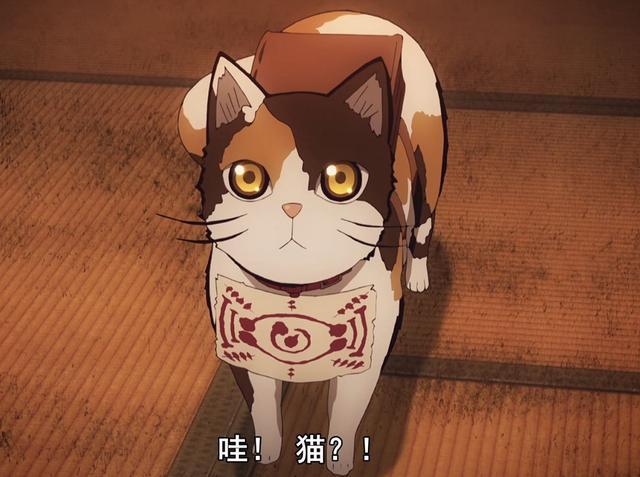 你的茶茶o