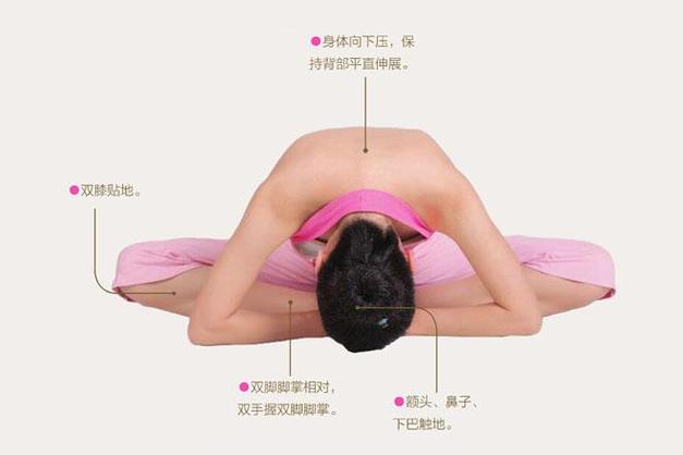 瑜伽每天必练8个动作