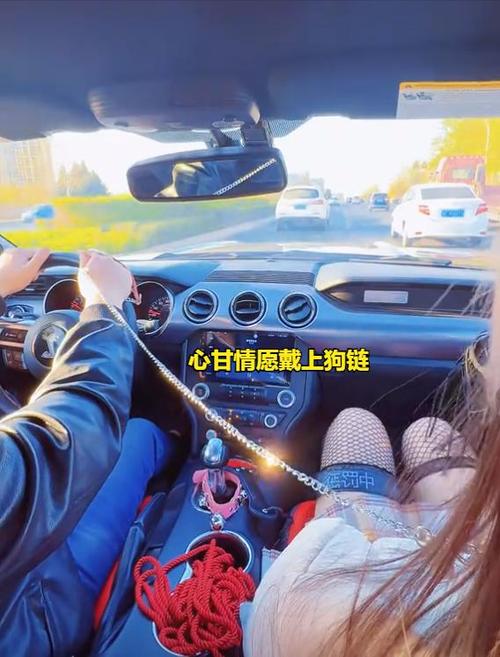 买心甘情愿当富翁的动物