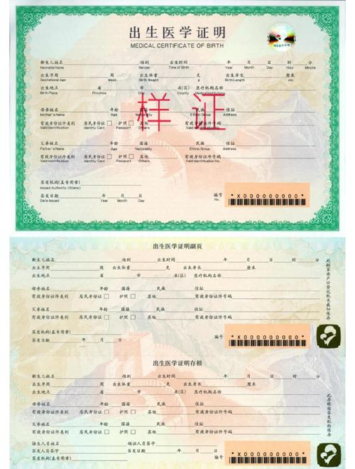 出生地设置指令