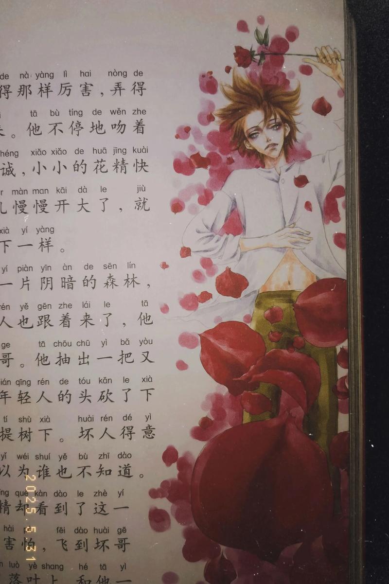 玫瑰疯狂者在线阅读