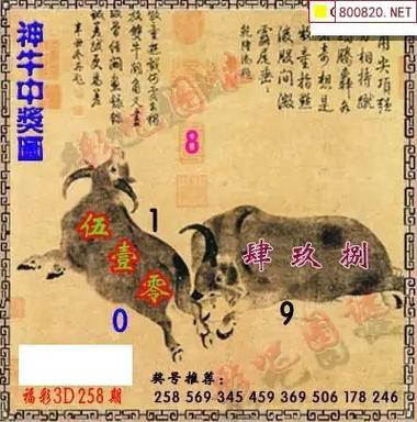 3d小小鱼版彩彩圣吧图库