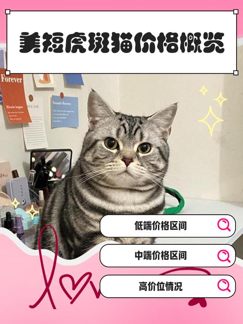 实惠喵可信吗