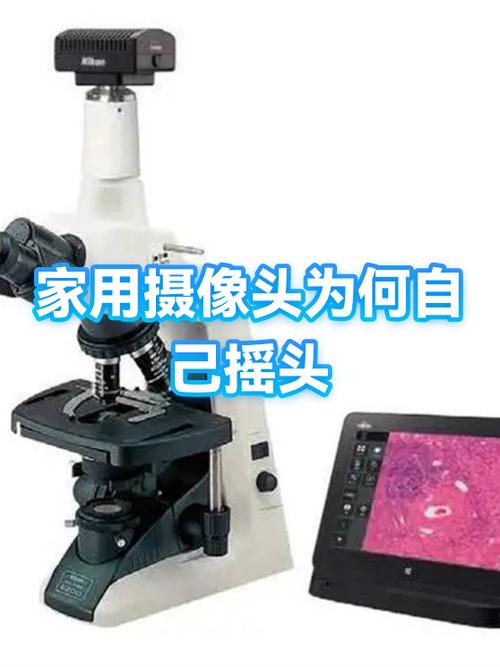 家用摄像头自己转动正常吗