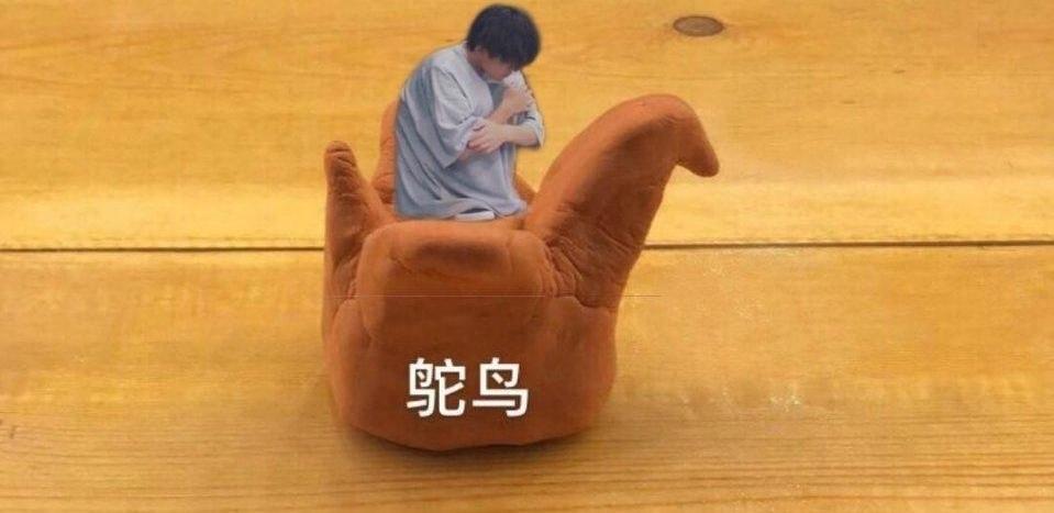 千纸鹤为什么变鸵鸟