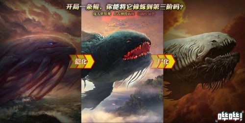 合成一条鲲免广告版(内置功能菜单)