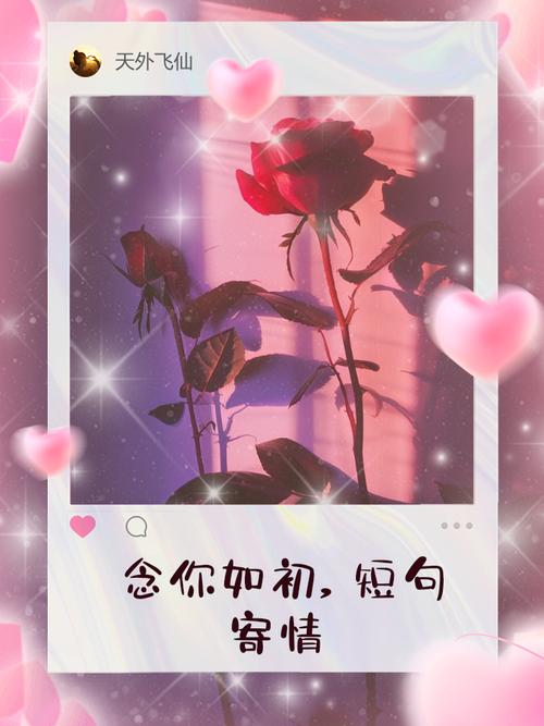 念你在心陆念之