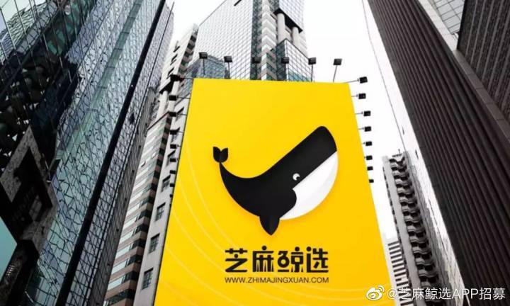芝麻鲸选进不去缩略图