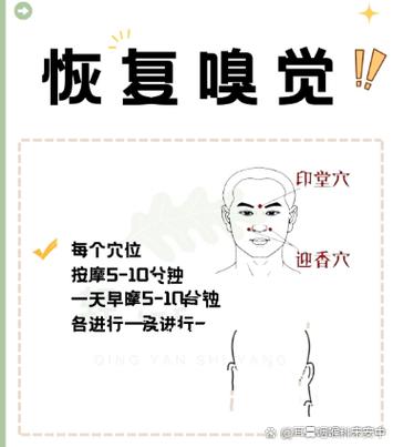 没有嗅觉怎么治疗
