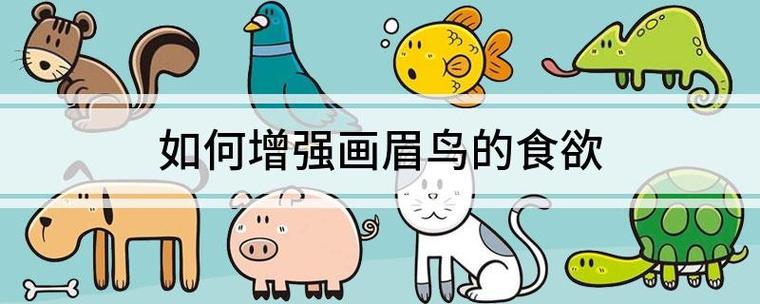 如何增强画眉鸟的食欲