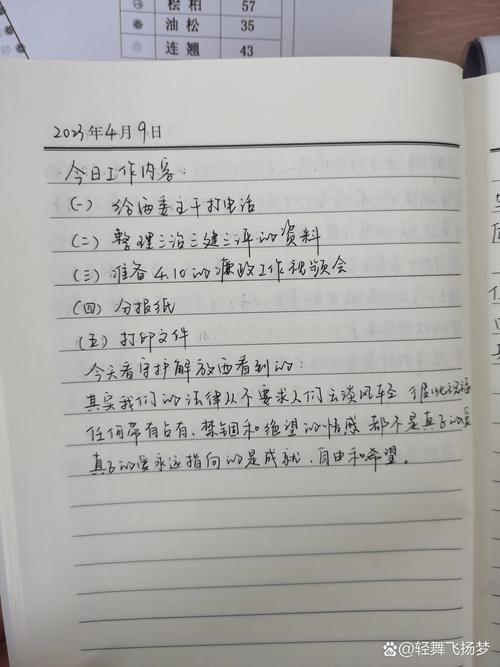 小惠的工作日记游戏