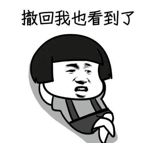 不小心拍一拍马上撤回能看到吗