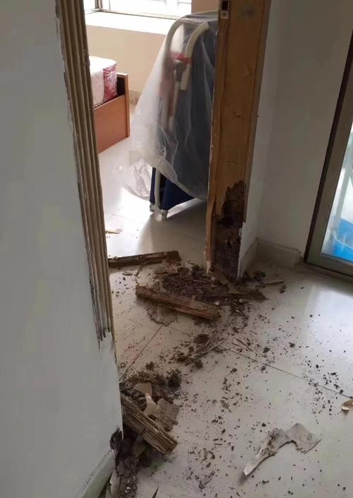 家有白蚁找什么部门