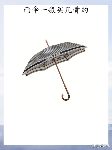 雨伞多少骨最好