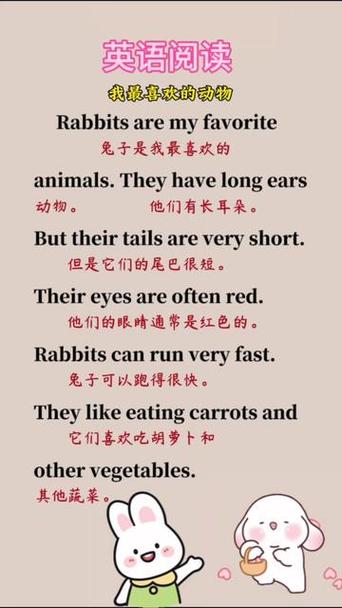 怎么呼唤兔子口语